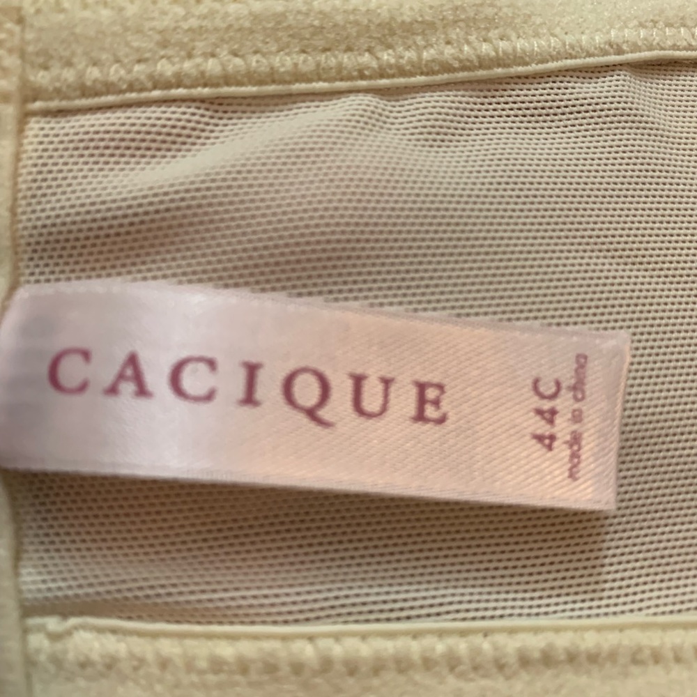 Cacique bra from Lane Bryant